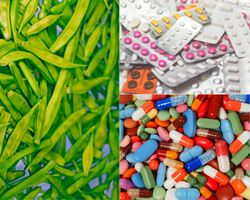 Guar Gum In Tablet Formulation