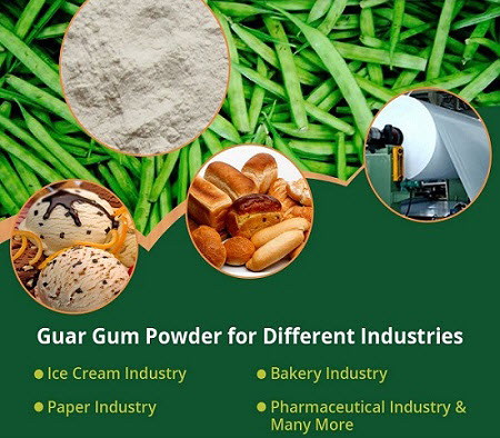 Guar Gum Powder for Different Industries