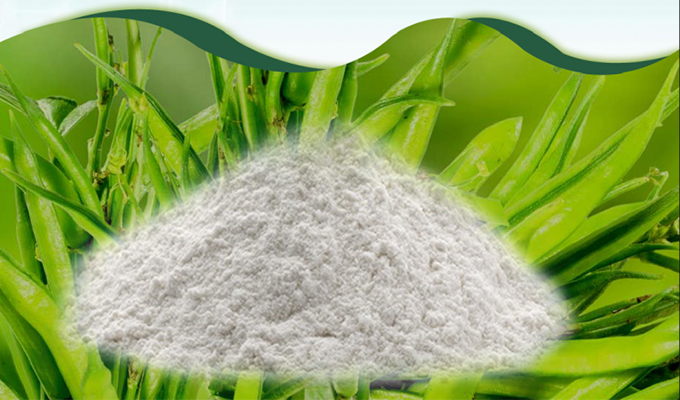 Guar Gum Powder supplier